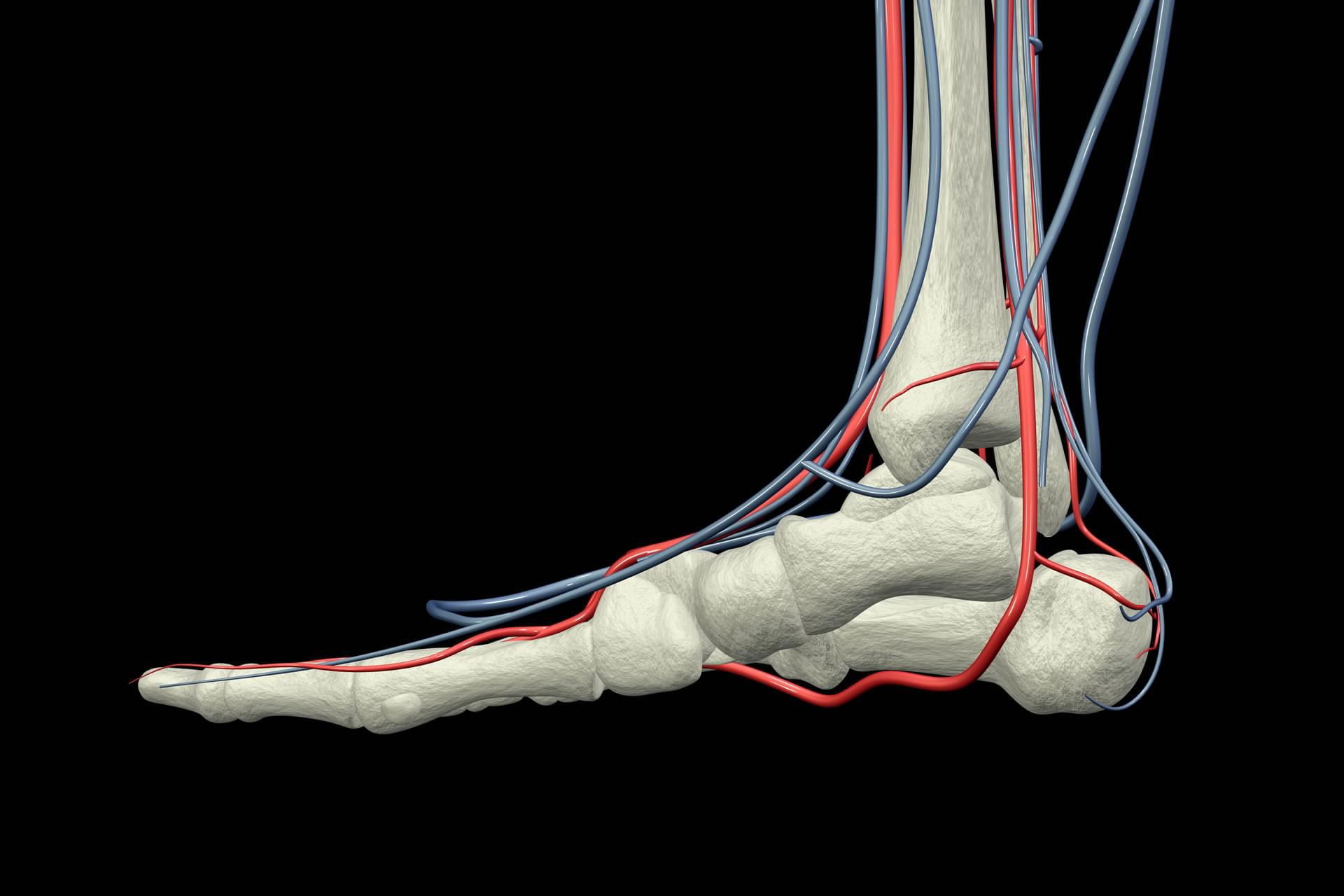 Common Foot Problems